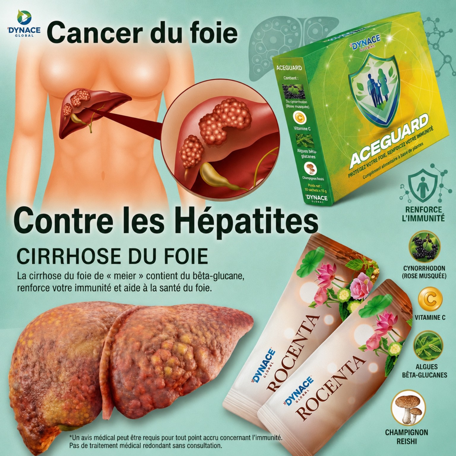 Santé hépatique — Foie & bien-être hépatique