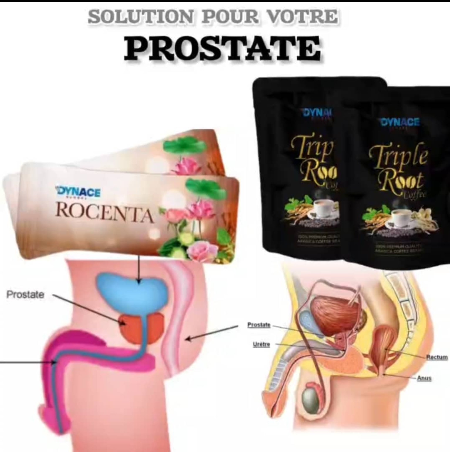 Santé masculine — Prostate & bien-être masculin