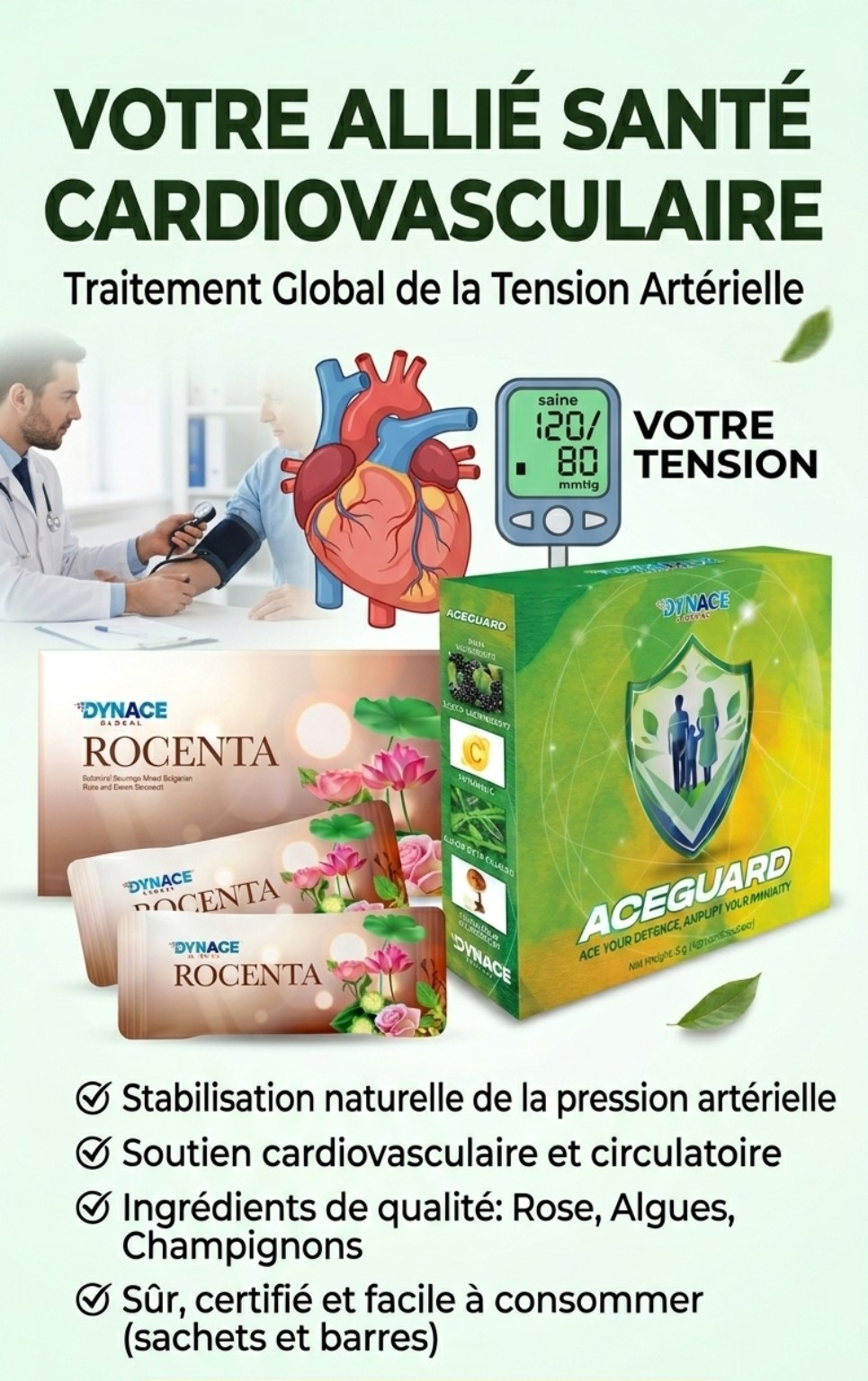 Santé cardiovasculaire — Tension & circulation